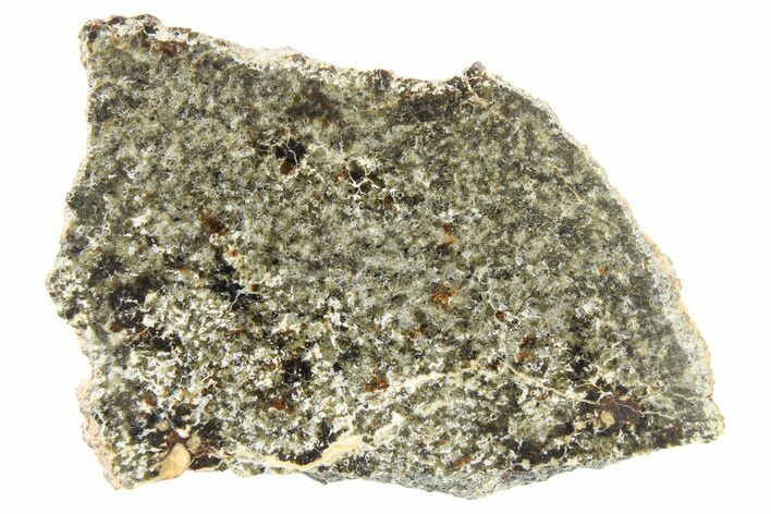 Polished Martian Meteorite Slice ( g) - NWA #262791